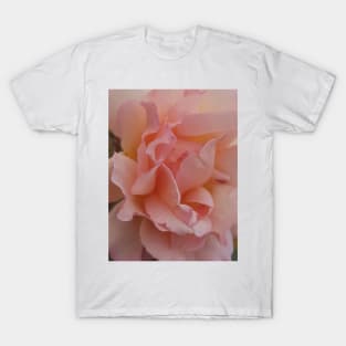 Pink Rose T-Shirt